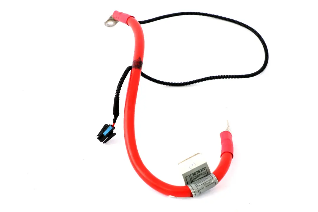Cavo positivo della batteria più cavo del polo per BMW E60 E61 con numero di parte 6955061 BMW E60 E61 Cavo positivo della batteria più cavo del polo - SKU 6955061 - Numero di parte 6955061