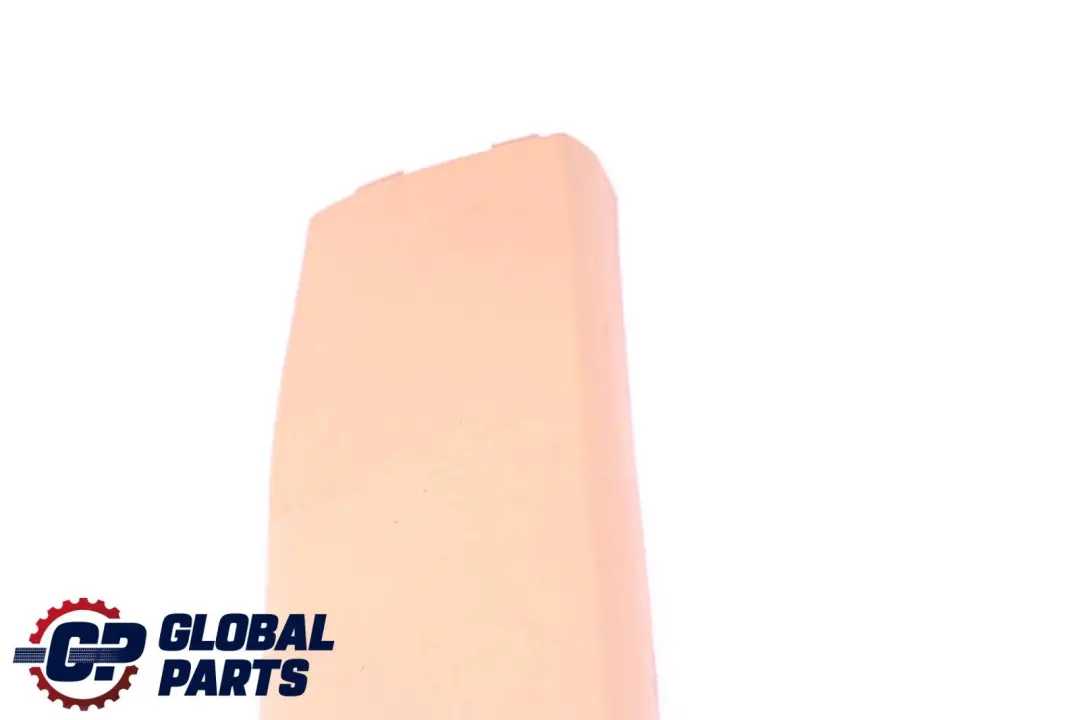 Coperchio Colonna B Bottom Trim Destra Beige 7129754 per BMW X5 Serie E70 con numero di parte 6966764 BMW X5 Serie E70 Coperchio Colonna B Bottom Trim Destra Beige 7129754 - SKU 6966764 - Numero di parte 6966764