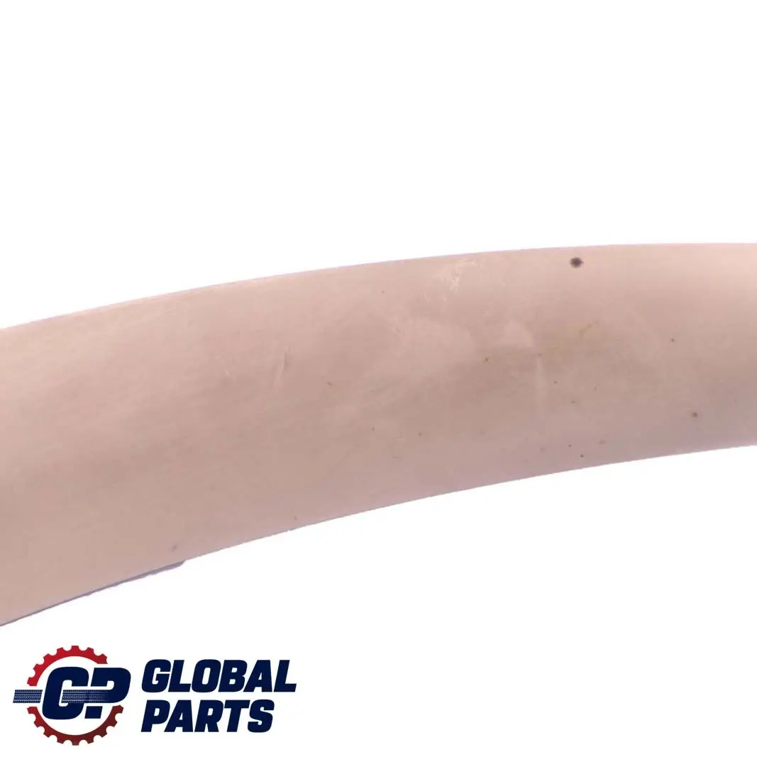 BMW X5 X6 E70 E71 Carrier Door Panel Pull Handle Trim Left N/S Savanna Beige - SKU 6969403 - Part number 6969403