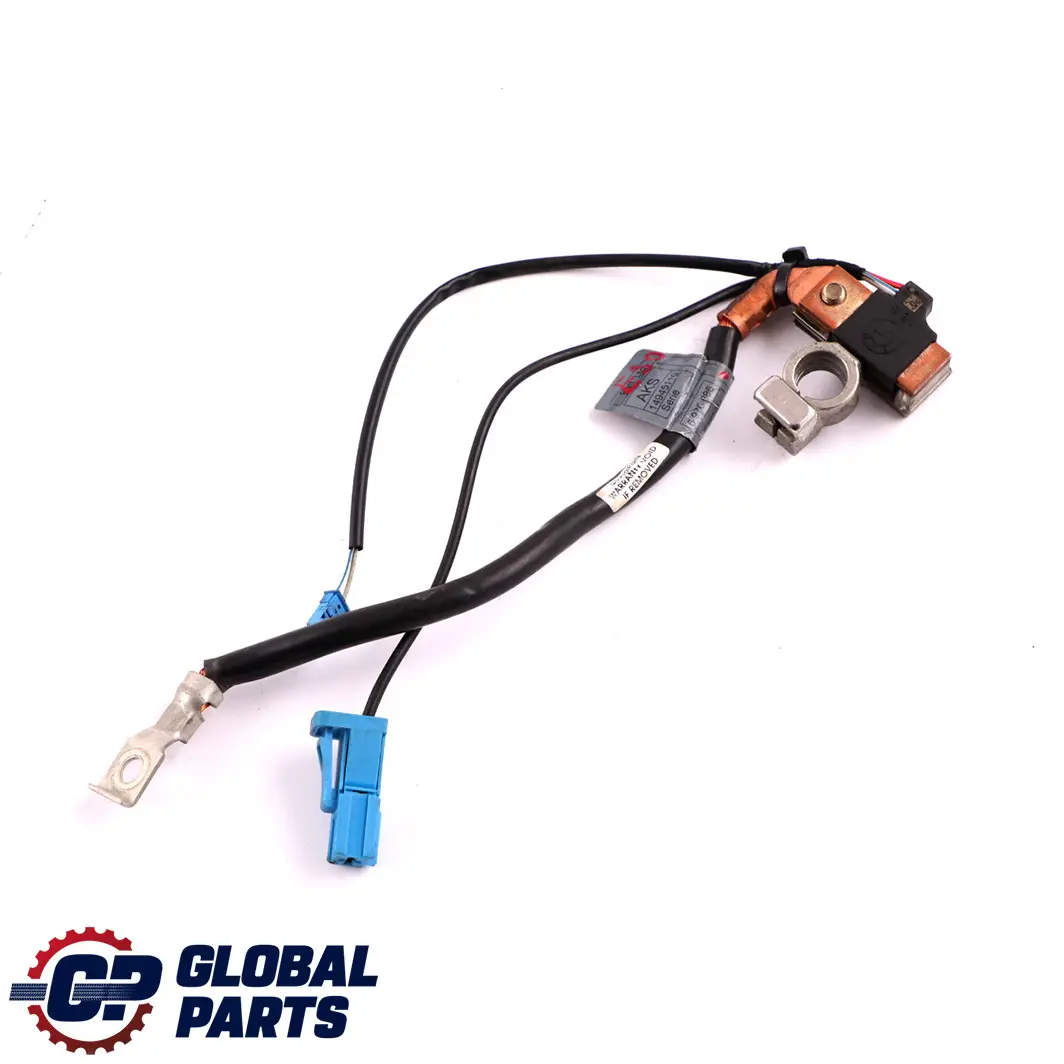 Cable Negativo Bateria Menos Polo IBS para BMW E90 E91 E92 E93 con número de pieza 6970685 BMW E90 E91 E92 E93 Cable Negativo Bateria Menos Polo IBS - SKU 6970685 - Número de pieza 6970685