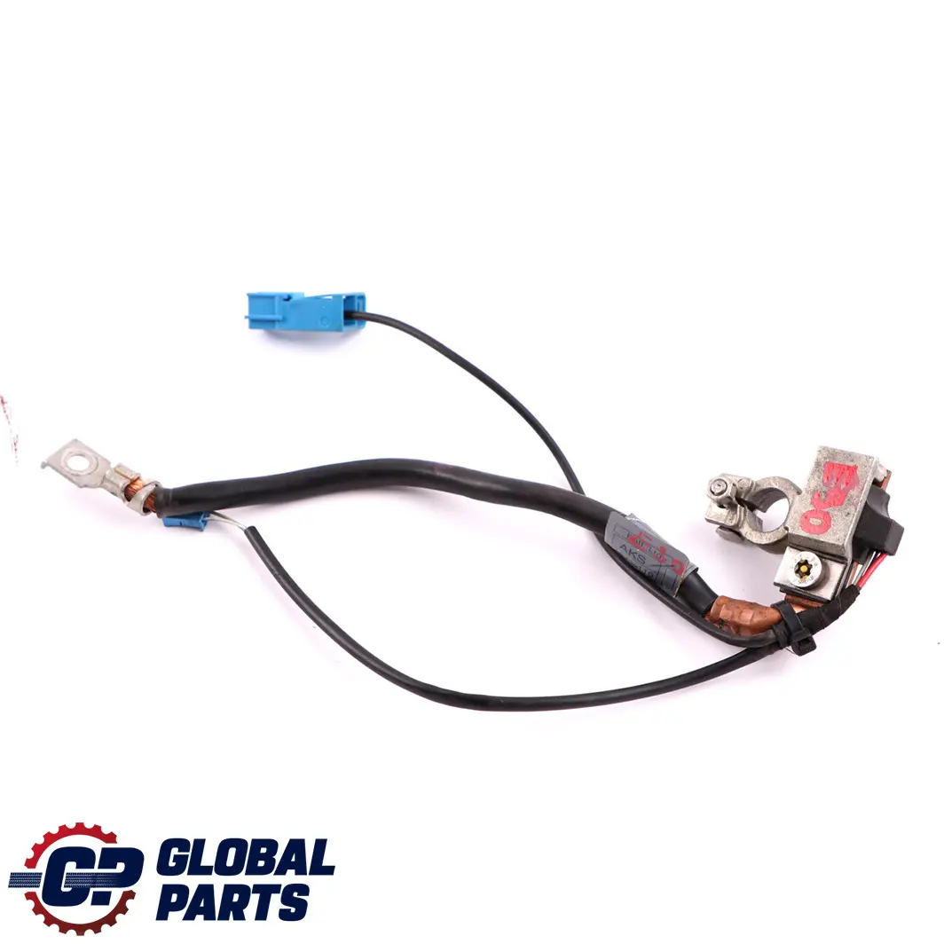 Cable Negativo Bateria Menos Polo IBS para BMW E90 E91 E92 E93 con número de pieza 6970685 BMW E90 E91 E92 E93 Cable Negativo Bateria Menos Polo IBS - SKU 6970685 - Número de pieza 6970685