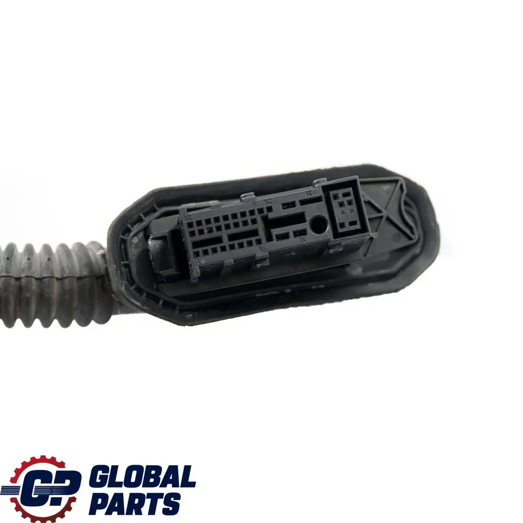 BMW E60 E61 Cable Loom Mazo De cables De La puerta del pasajero - SKU 6972584 - Número de pieza 6982359