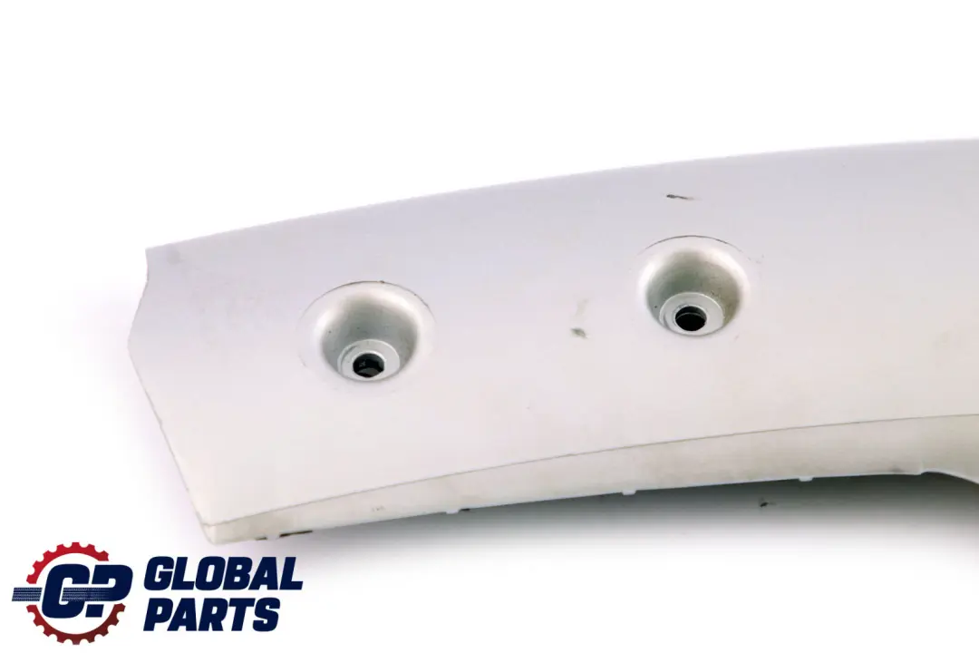 MINI Cooper One 2 R50 R52 R53 Tapa Tubo Izquierda Plata 7040569 - SKU 6973075-2 - Número de pieza 6973075