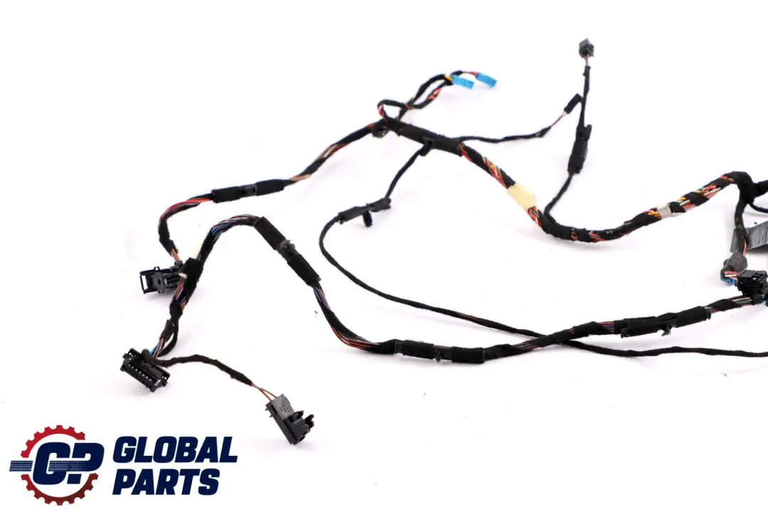 BMW X5 X6 Serie E70 E71 Cable Loom Arn?s Puerta Lado Conductor Cableado 9116974 - SKU 6977058 - Número de pieza 6977058