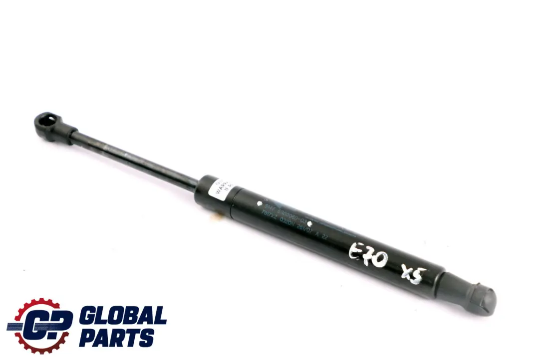 Pressurizzato Cofano Motore Primavera per BMW X5 E70 Gas con numero di parte 6980060 BMW X5 E70 Gas Pressurizzato Cofano Motore Primavera - SKU 6980060 - Numero di parte 6980060