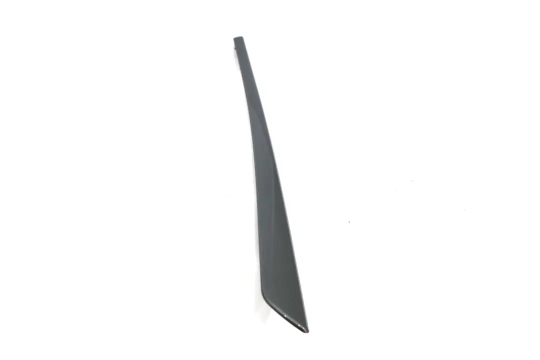 BMW 5 Reihe E60 LCI Dekorleiste TÄ‚Ä½r hinten links Grey Spacegrau 5142 - SKU 6984675 - Teilenummer 6984675