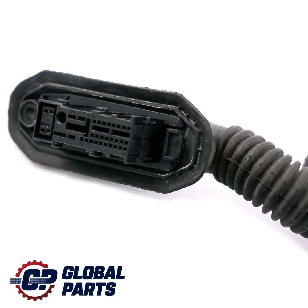 BMW Z4 E85 Cable Loom Mazo De cables De La puerta del conductor - SKU 6986980 - Número de pieza 6986976