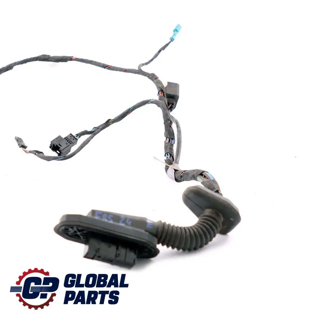 BMW Z4 E85 Cable Loom Mazo De cables De La puerta del pasajero - SKU 6986987 - Número de pieza 6986982