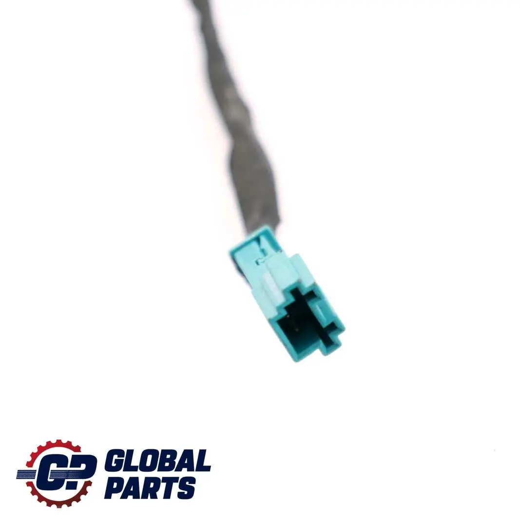 BMW Z4 E85 Cable Loom Mazo De cables De La puerta del pasajero - SKU 6986987 - Número de pieza 6986982