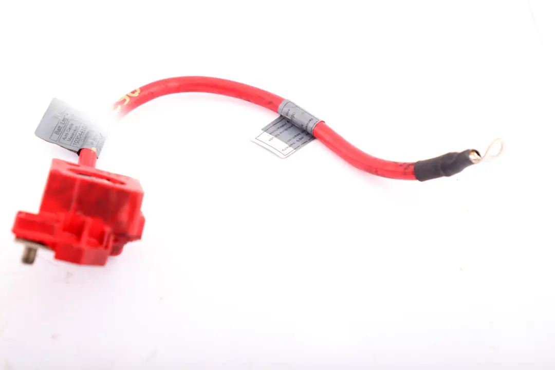 BMW X1 E82 E84 E88 E90 E91 E92 Battery Cable (Plus Pole) - SKU 6988974-1 - Part number 6988974