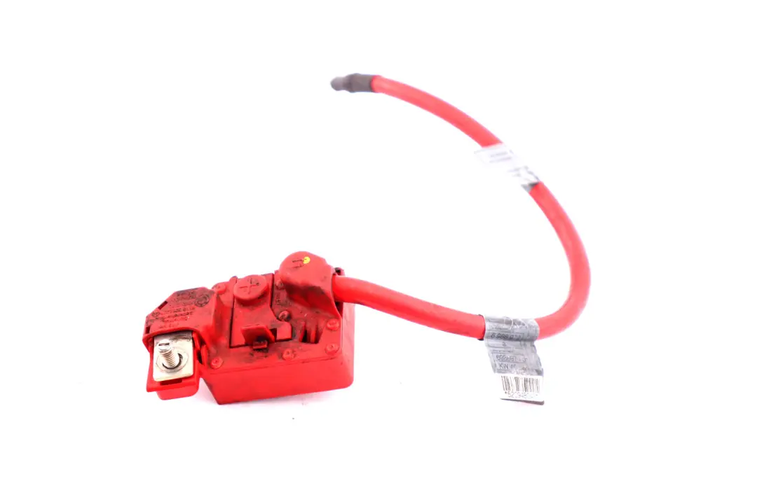 Fila E82 E84 E88 E90 E91 E92 Cavo Batteria ( Plus Polo ) per BMW X1 con numero di parte 6988974 BMW X1 Fila E82 E84 E88 E90 E91 E92 Cavo Batteria ( Plus Polo ) - SKU 6988974-1 - Numero di parte 6988974