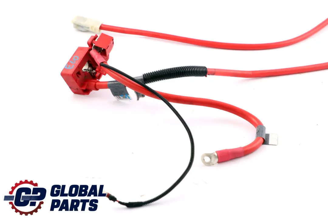 BMW E60 E60N LCI Cavo Batteria Positivo Più Cavo Polo - SKU 6989780-1 - Numero di parte 6989780