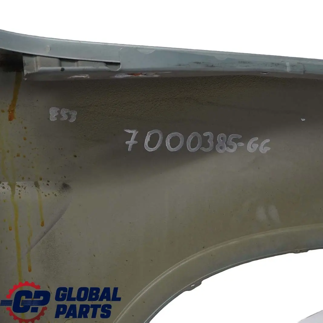 Side Panel Wing Fender Front Left N/S Graugruen Grey Green - 442 to BMW X5 E53 with Part number 7000385 BMW X5 E53 Side Panel Wing Fender Front Left N/S Graugruen Grey Green - 442 - SKU 7000385-GG - Part number 7000385