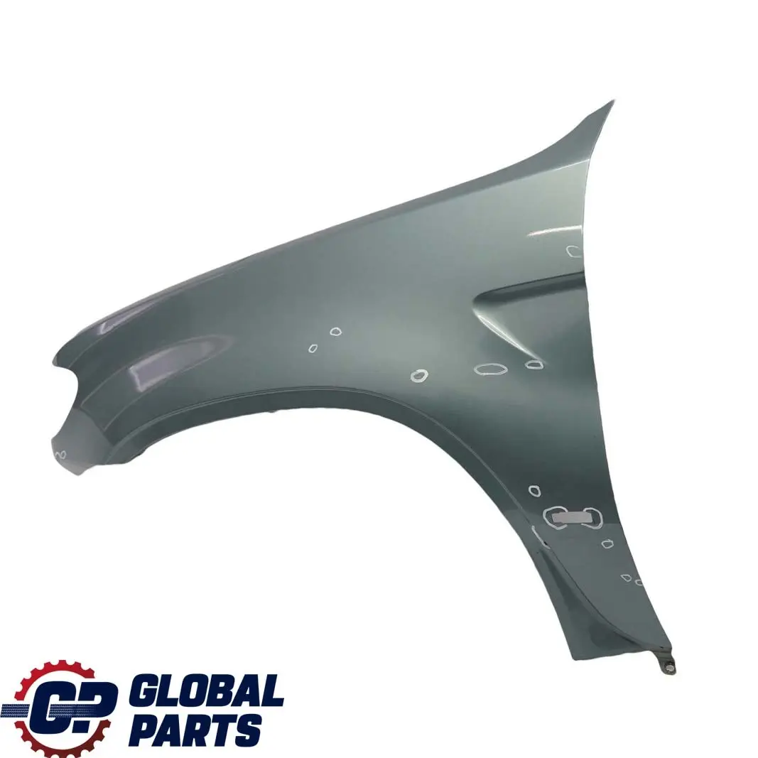 BMW X5 E53 Seitenwand Vorne Links Kotflügel Graugruen Grey Green - 442 - SKU 7000385-GG - Teilenummer 7000385