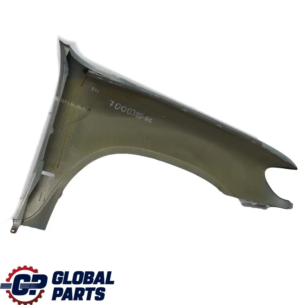 BMW X5 E53 Side Panel Wing Fender Front Left N/S Graugruen Grey Green - 442 - SKU 7000385-GG - Part number 7000385