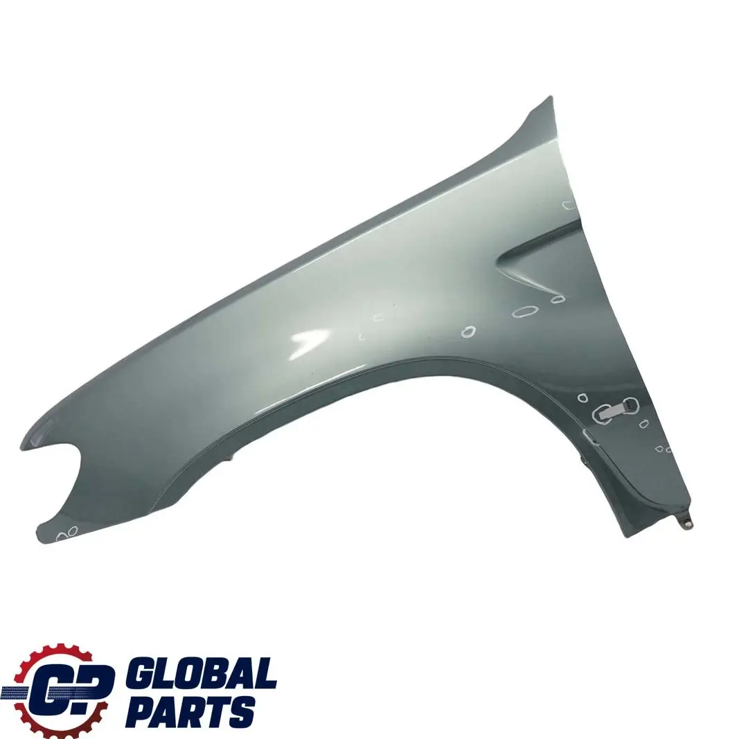 BMW X5 E53 Seitenwand Vorne Links Kotflügel Graugruen Grey Green - 442 - SKU 7000385-GG - Teilenummer 7000385