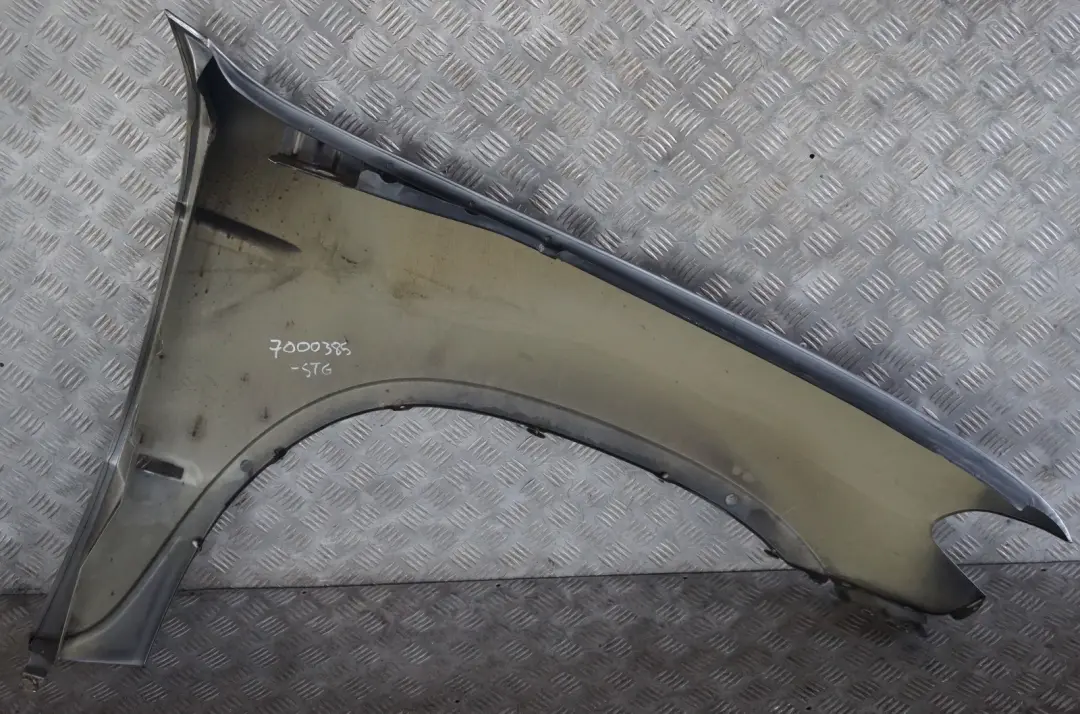 Błotnik lewy przód stahlgrau 400 do BMW E53 X5 o numerze 7000385 BMW E53 X5 Błotnik lewy przód stahlgrau 400 - SKU 7000385-STG - Numer Części 7000385