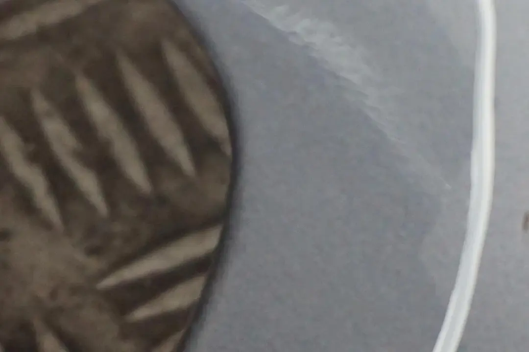 Panneau Laterale a L'Avant Gauche Garde-Boue Gris Acier Gris - 400 pour BMW X5 E53 1 à propos du numéro de pièce 7000385 BMW X5 E53 1 Panneau Laterale a L'Avant Gauche Garde-Boue Gris Acier Gris - 400 - SKU 7000385-STH2 - Numéro de pièce 7000385