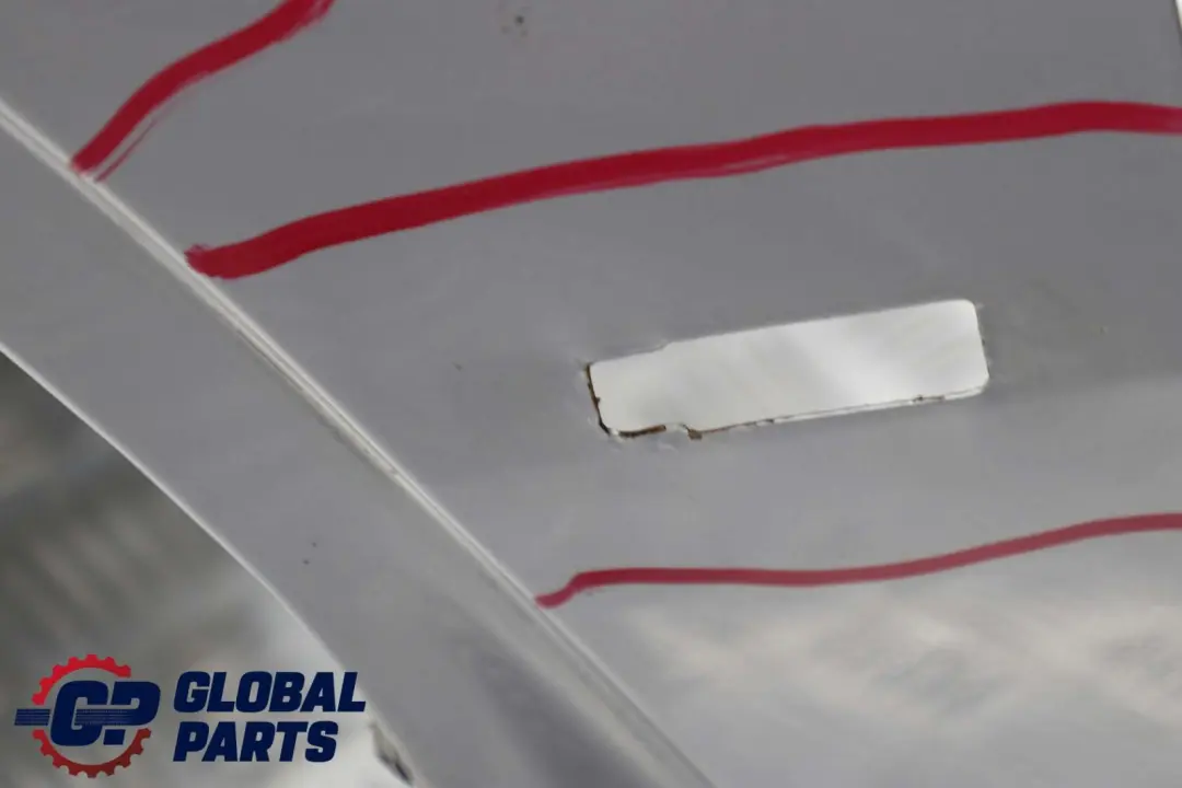 Pareti Anteriore Sinistra Parafango Argento-Titanio Argento - 354 per BMW X5 E53 6 con numero di parte 7000385 BMW X5 E53 6 Pareti Anteriore Sinistra Parafango Argento-Titanio Argento - 354 - SKU 7000385-TS6 - Numero di parte 7000385