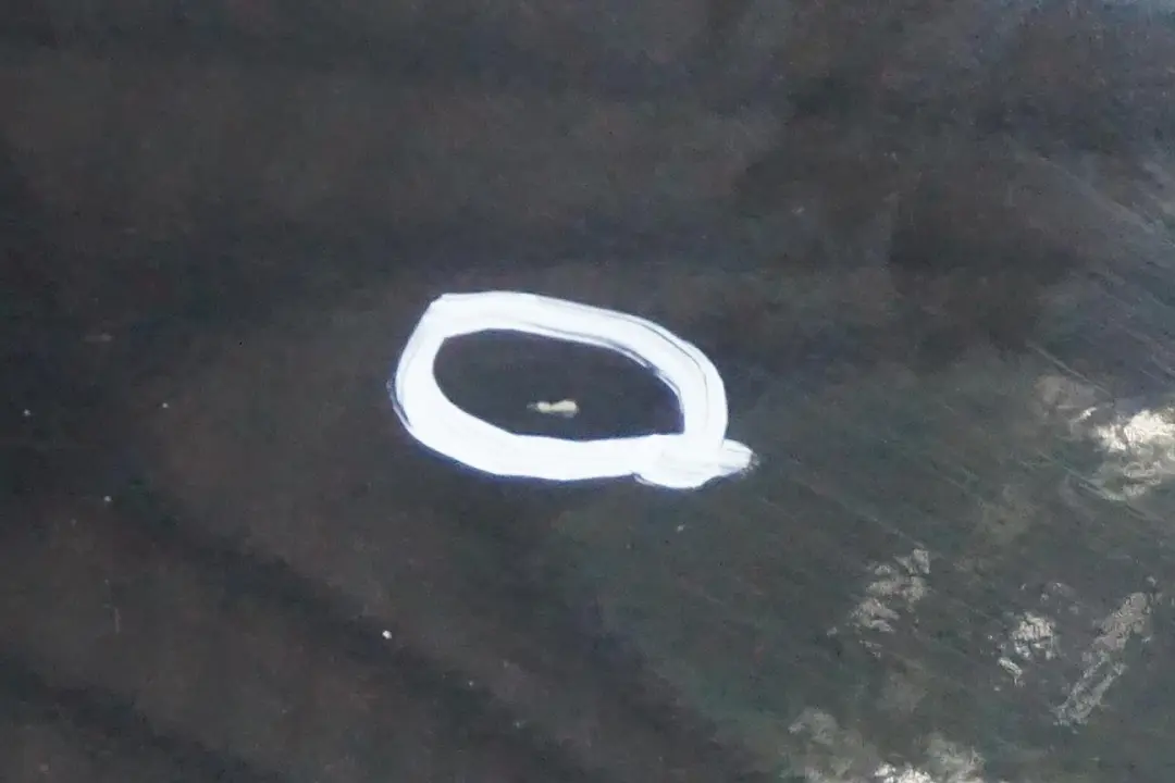 Błotnik prawy przód black saphire do BMW E53 X5 o numerze 7000386 BMW E53 X5 Błotnik prawy przód black saphire - SKU 7000386-BS1 - Numer Części 7000386