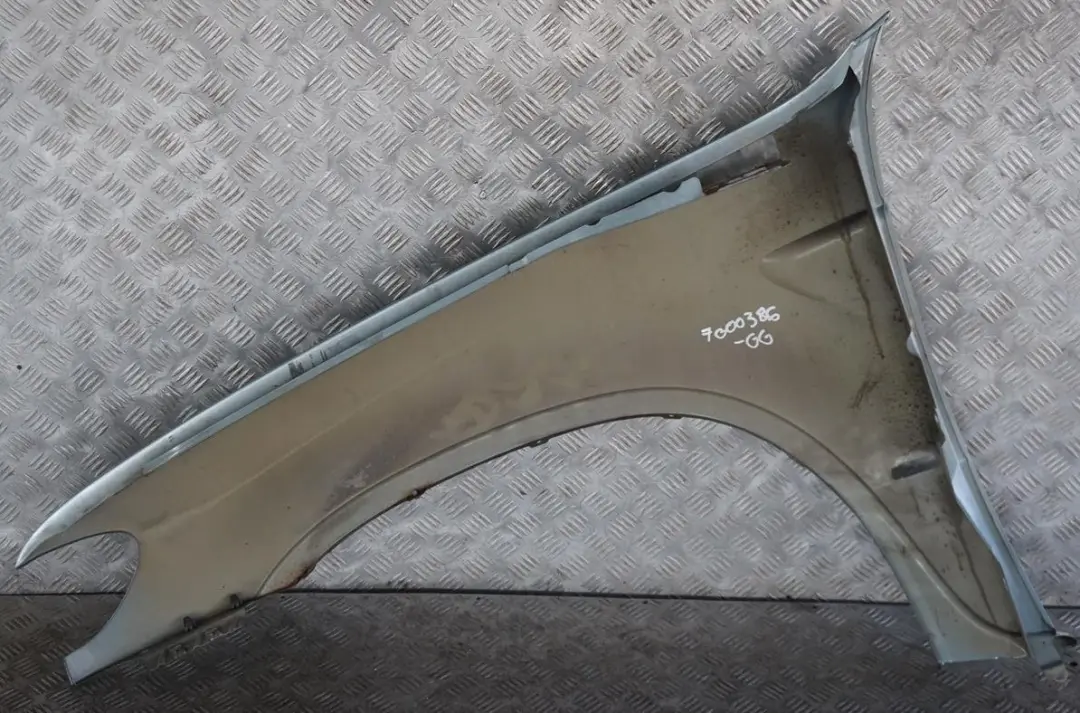 BMW X5 Series E53 Side Panel Wing Fender Front Right O/S Graugruen Grey Green - SKU 7000386-GG - Part number 7000386