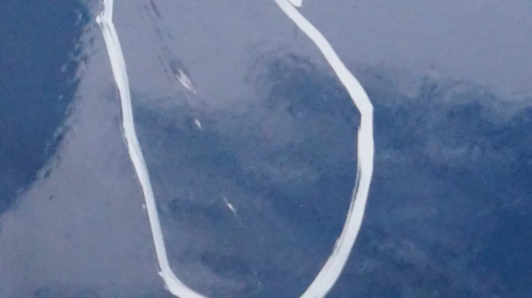 Lato Pannello Laterale Anteriore Destro Parafango Blu Topazio Topaz per BMW X5 E53 con numero di parte 7000386 BMW X5 E53 Lato Pannello Laterale Anteriore Destro Parafango Blu Topazio Topaz - SKU 7000386-TPB3 - Numero di parte 7000386