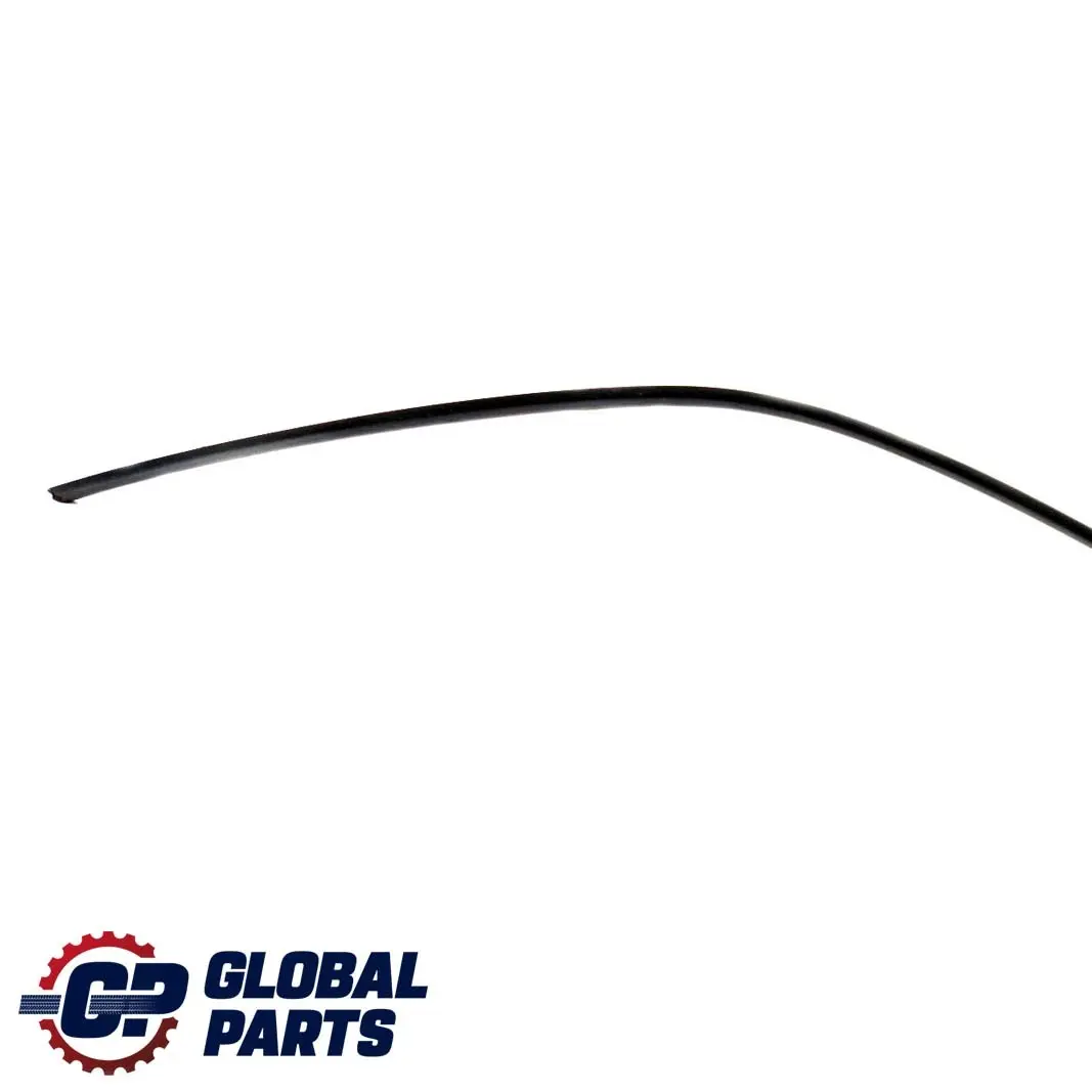 Porta Anteriore Sinistra Grondaia Prestazioni Nero per BMW E46 con numero di parte 7000511 BMW E46 Porta Anteriore Sinistra Grondaia Prestazioni Nero - SKU 7000511 - Numero di parte 7000511