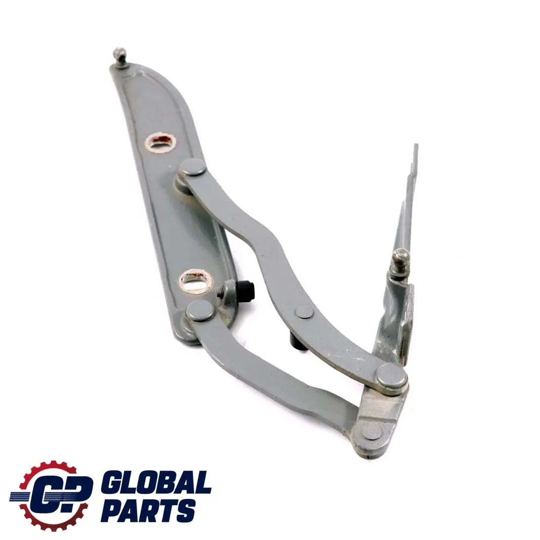 BMW E46 Cerniera Baule Posteriore Sinistro Silbergrau Grigio Argento 8220073 - SKU 7001559-SBG - Numero di parte 7001559