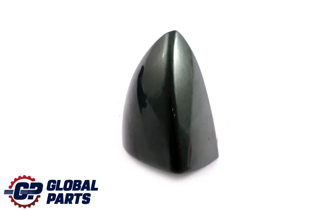 Griffbügel Hinten Links Oxfordgruen 2 Metallic 430 Gruen für BMW X5 er E53 mit Teilenummer 7002311 BMW X5 er E53 Griffbügel Hinten Links Oxfordgruen 2 Metallic 430 Gruen - SKU 7002311-OXF - Teilenummer 7002311