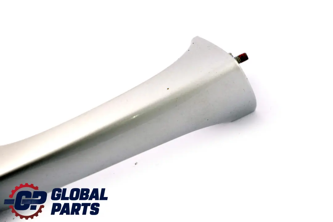 Right Handle Grab Cover O/S Titansilber Titan Silver to BMW X5 E53 Rear with Part number 7002312 BMW X5 E53 Rear Right Handle Grab Cover O/S Titansilber Titan Silver - SKU 7002312-TS2 - Part number 7002312