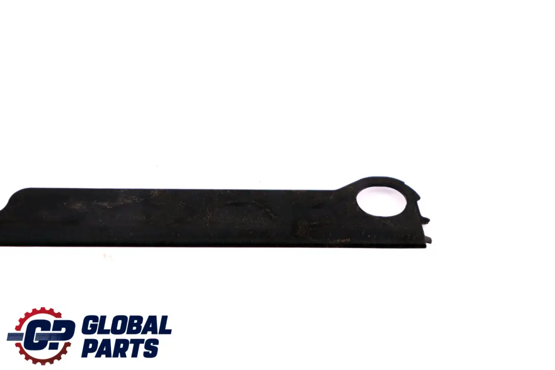 BMW E53 Cubierta Pintura Ranura Puerta Delantera Derecha - SKU 7002970 - Número de pieza 7002970