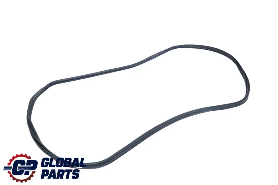 BMW X6 E71 Tapa del maletero Junta de sellado 5176 - SKU 7003105 - Número de pieza 7003105