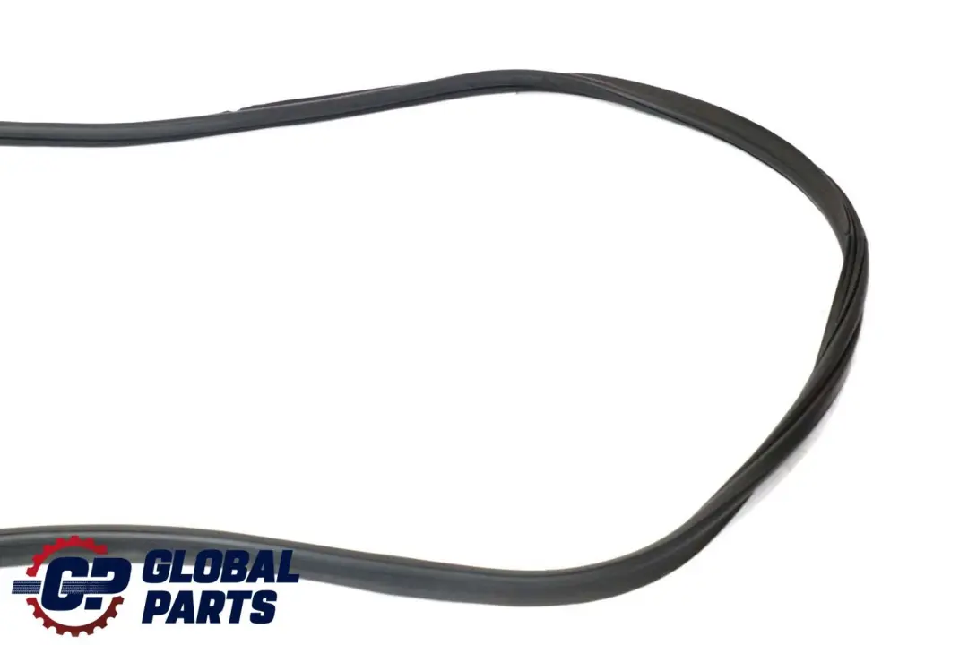 BMW X6 E71 Tapa del maletero Junta de sellado 5176 - SKU 7003105 - Número de pieza 7003105