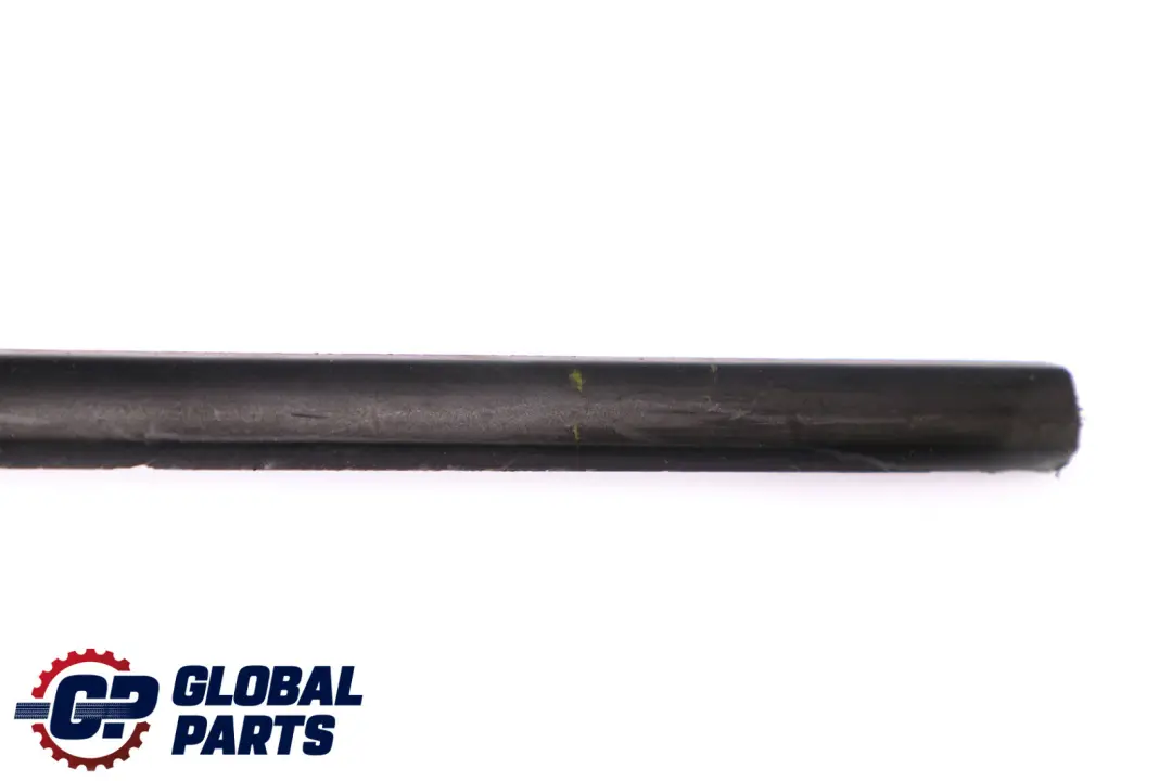 BMW X5 Series E53 Door Weatherstrip Strip Bottom Front Right O/S - SKU 7004694 - Part number 7004694
