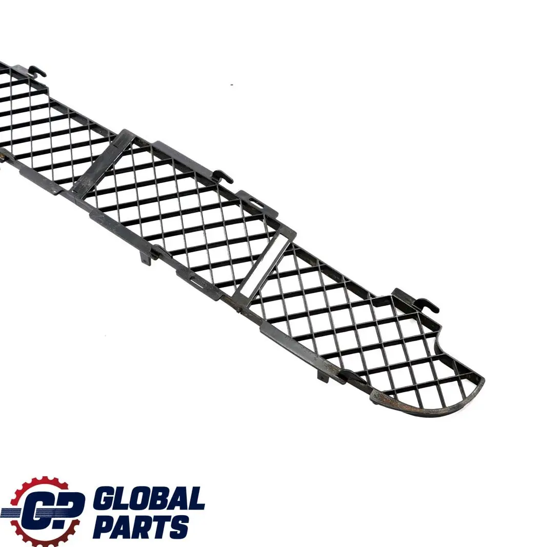 Gitter Stossfänger Vorn Schwarz für BMW X5 er E53 mit Teilenummer 7005800 BMW X5 er E53 Gitter Stossfänger Vorn Schwarz - SKU 7005800 - Teilenummer 7005800