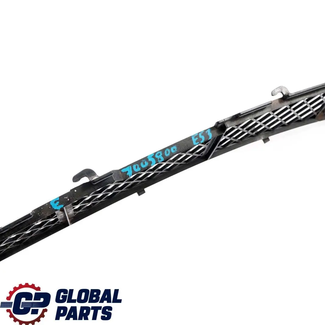 Gitter Stossfänger Vorn Schwarz für BMW X5 er E53 mit Teilenummer 7005800 BMW X5 er E53 Gitter Stossfänger Vorn Schwarz - SKU 7005800 - Teilenummer 7005800