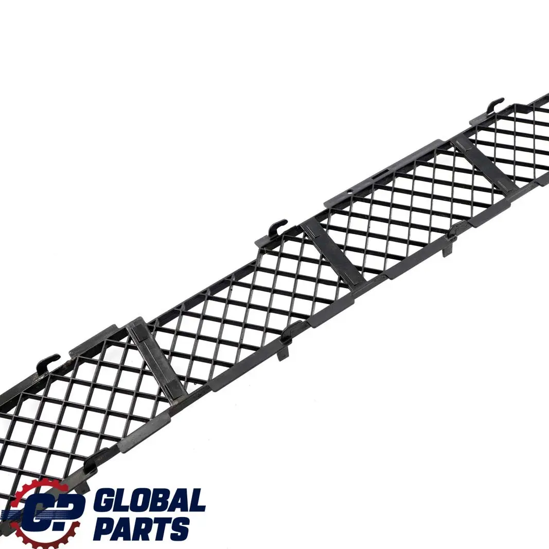 Gitter Stossfänger Vorn Schwarz für BMW X5 er E53 mit Teilenummer 7005800 BMW X5 er E53 Gitter Stossfänger Vorn Schwarz - SKU 7005800 - Teilenummer 7005800