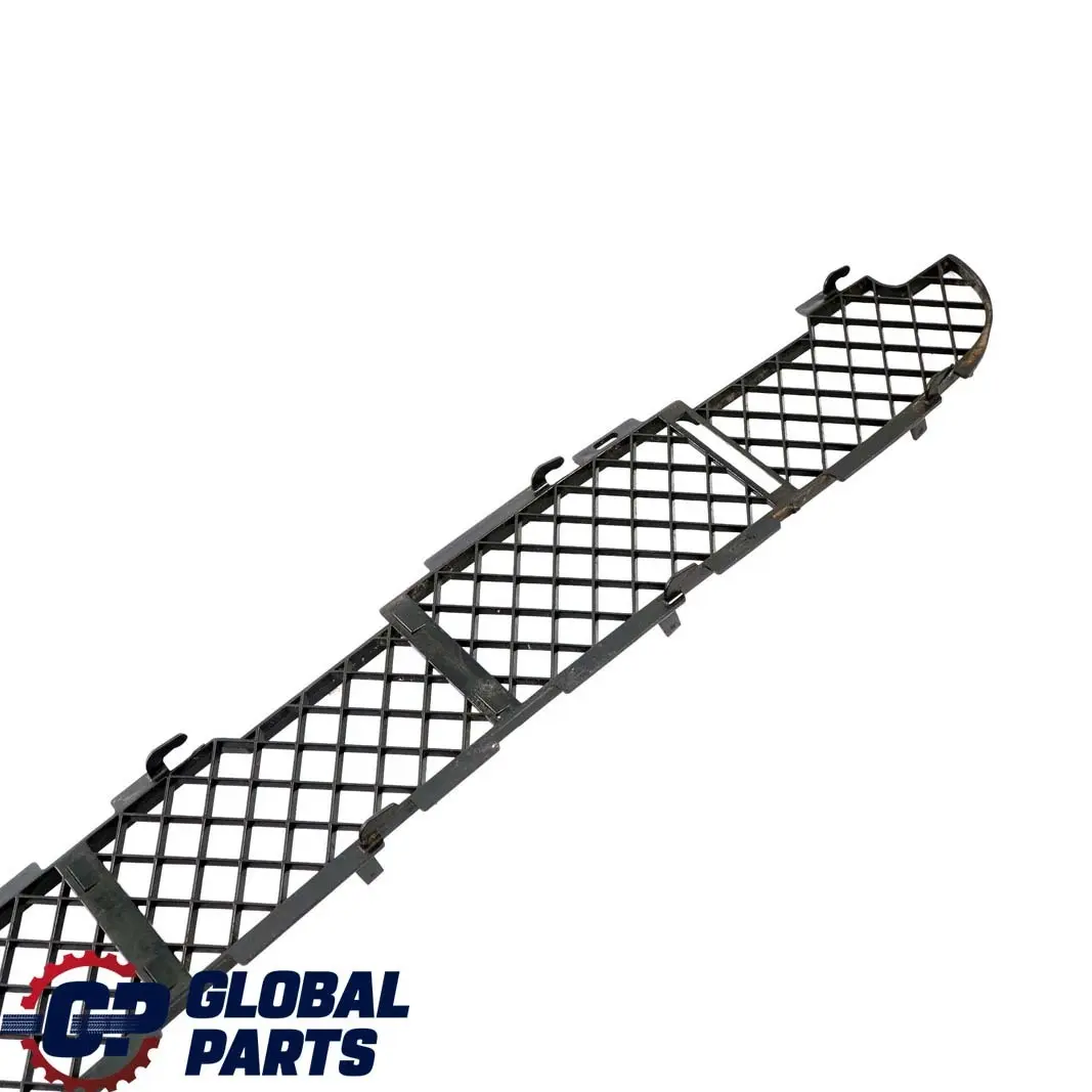Gitter Stossfänger Vorn Schwarz für BMW X5 er E53 mit Teilenummer 7005800 BMW X5 er E53 Gitter Stossfänger Vorn Schwarz - SKU 7005800 - Teilenummer 7005800