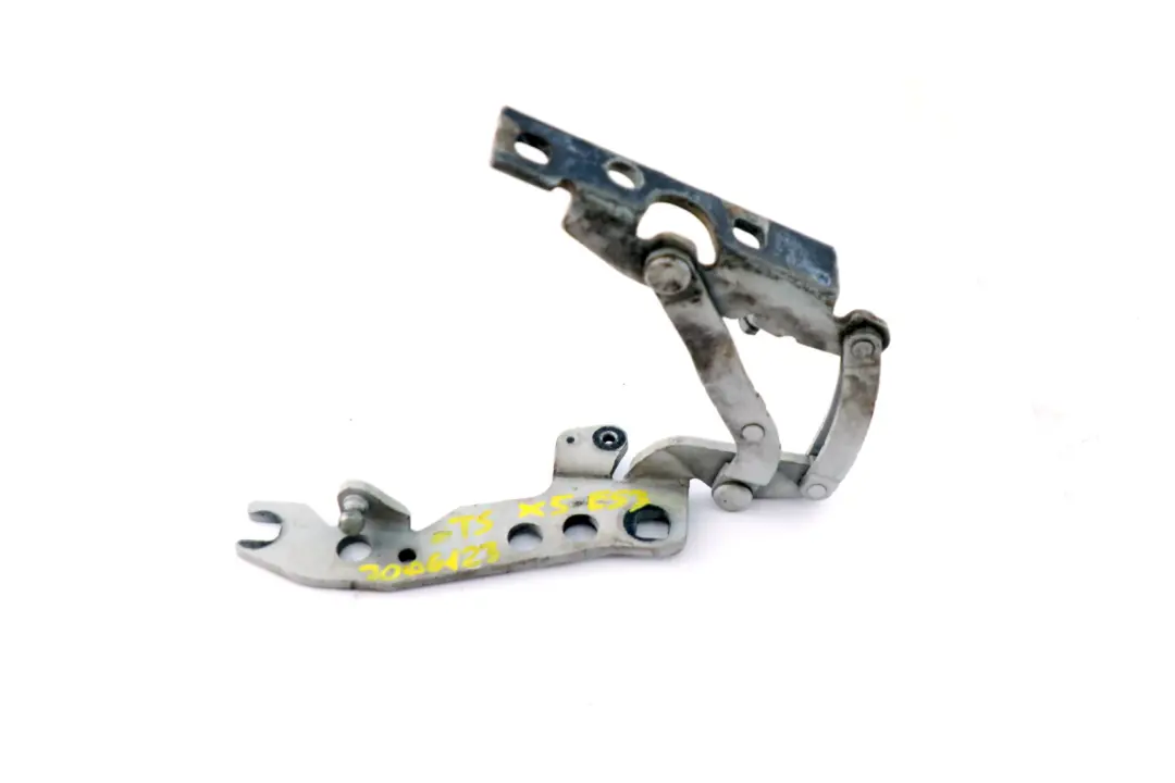 Cardine Lembo Anteriore Argento-Titanio Argento Sinistra 8402173 per BMW X5 E53 con numero di parte 7006123 BMW X5 E53 Cardine Lembo Anteriore Argento-Titanio Argento Sinistra 8402173 - SKU 7006123-TS - Numero di parte 7006123