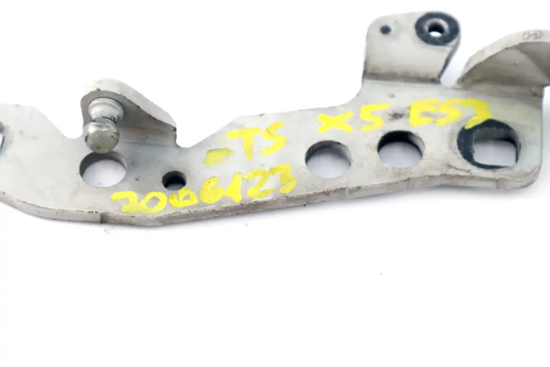 Charnière Capot Moteur Gauche N/S Titan Silver 8402173 pour BMW X5 E53 à propos du numéro de pièce 7006123 BMW X5 E53 Charnière Capot Moteur Gauche N/S Titan Silver 8402173 - SKU 7006123-TS - Numéro de pièce 7006123