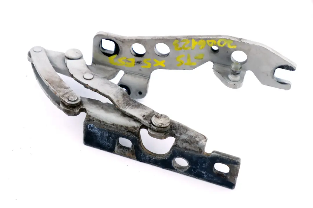 Cardine Lembo Anteriore Argento-Titanio Argento Sinistra 8402173 per BMW X5 E53 con numero di parte 7006123 BMW X5 E53 Cardine Lembo Anteriore Argento-Titanio Argento Sinistra 8402173 - SKU 7006123-TS - Numero di parte 7006123