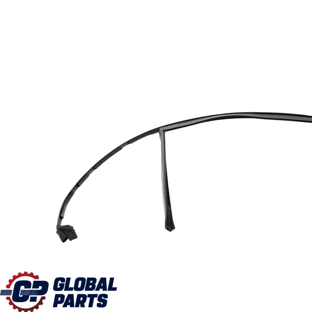 BMW 7 E66 Binario Finestra Guarnizione Porta Posteriore Sinistra - SKU 7008045 - Numero di parte 7008045