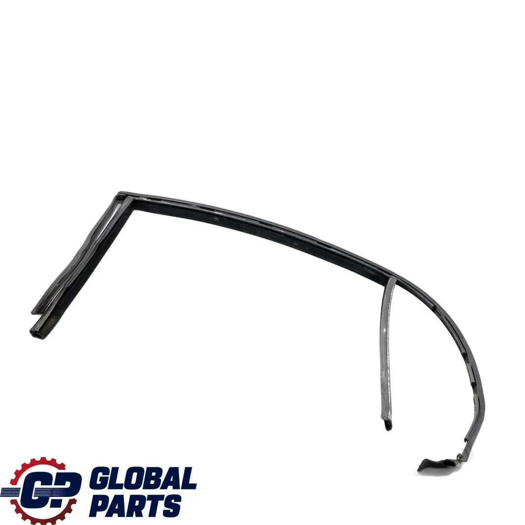BMW 7 Series E66 Door Window Guide Rear Left N/S Seal - SKU 7008045 - Part number 7008045