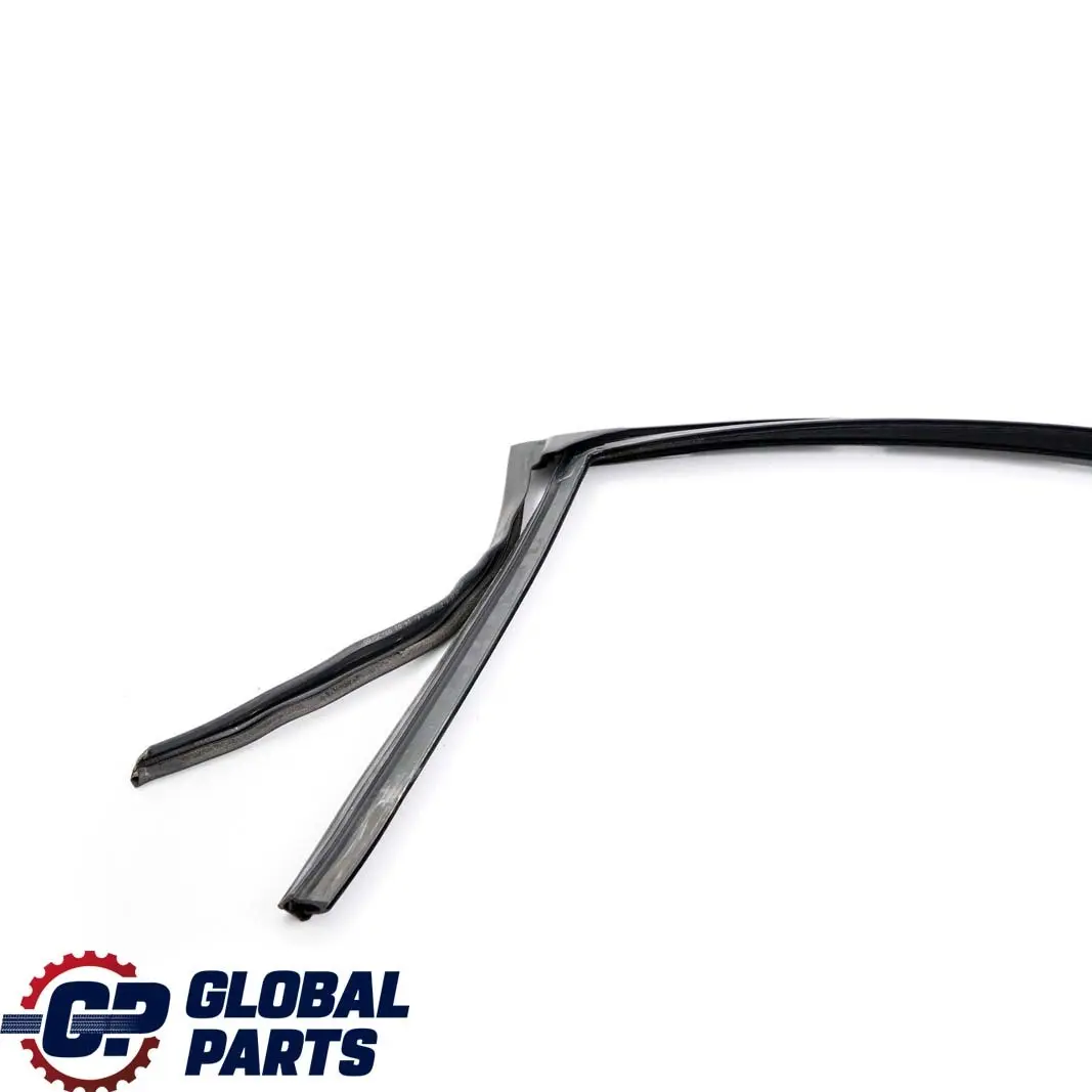 BMW 7 Series E66 Door Window Guide Rear Right O/S Seal - SKU 7008046 - Part number 7414534