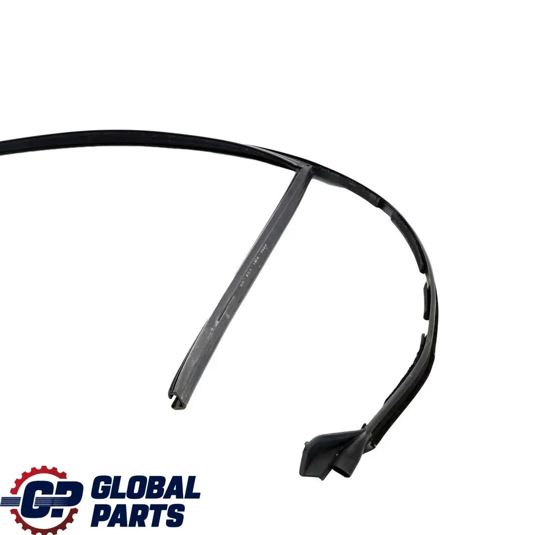 BMW 7 Series E66 Door Window Guide Rear Right O/S Seal - SKU 7008046 - Part number 7414534