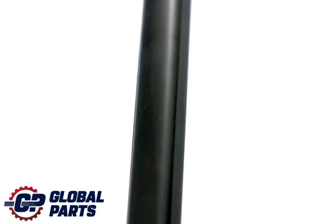 Schachtabdeckung Aussen Links Glanzschwarz für BMW 6 er E63 mit Teilenummer 7008577 BMW 6 er E63 Schachtabdeckung Aussen Links Glanzschwarz - SKU 7008577 - Teilenummer 7008577