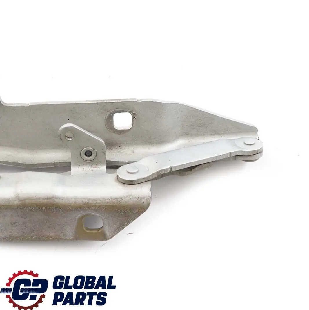 Cardine Lembo Anteriore Destra Argento-Titanio Metallico 354 per BMW E60 E61 con numero di parte 7008728 BMW E60 E61 Cardine Lembo Anteriore Destra Argento-Titanio Metallico 354 - SKU 7008728-TS - Numero di parte 7008728