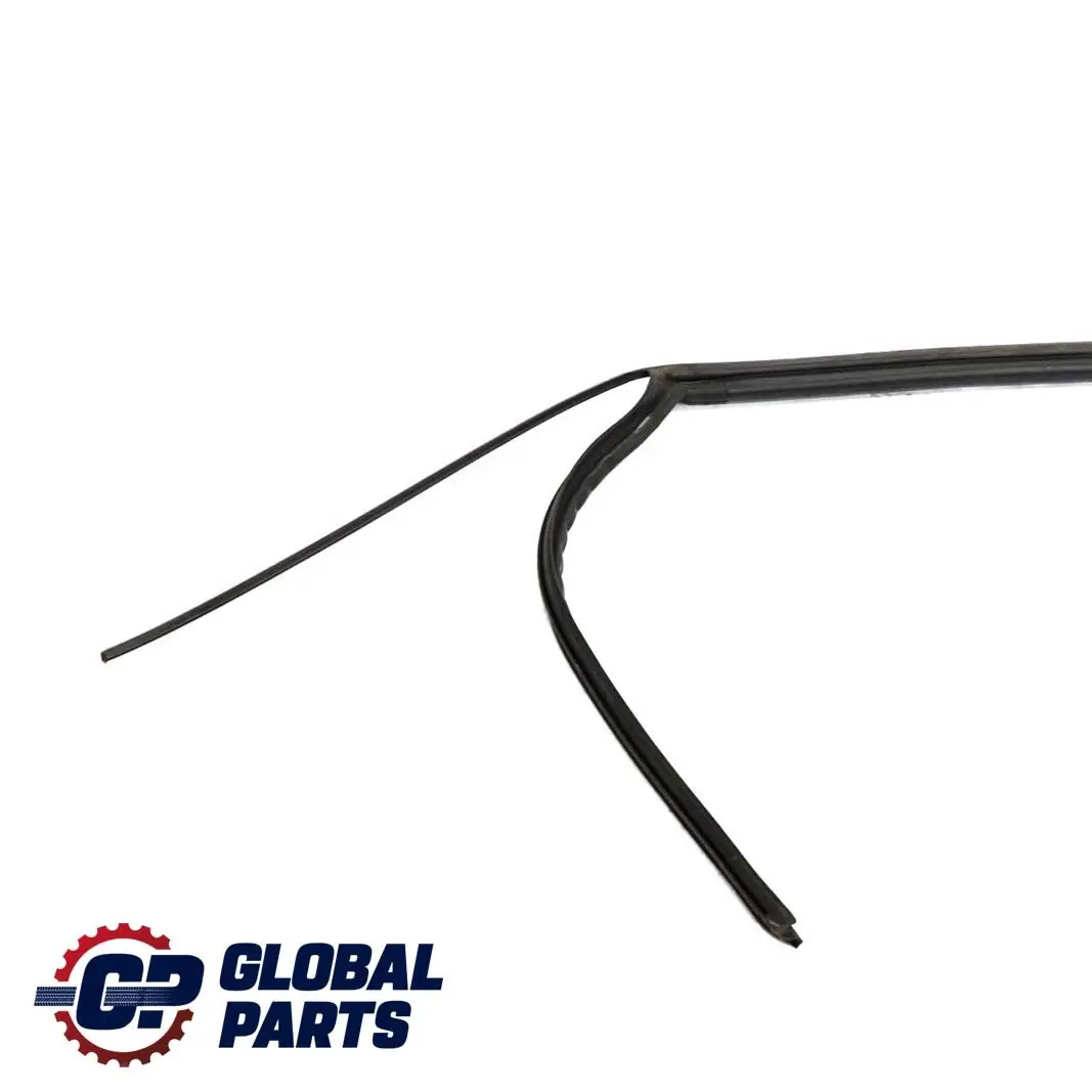 Junta De Sellado Marco Del Techo Derecha 5171 para BMW X5 E53 con número de pieza 7008976 BMW X5 E53 Junta De Sellado Marco Del Techo Derecha 5171 - SKU 7008976 - Número de pieza 7008976