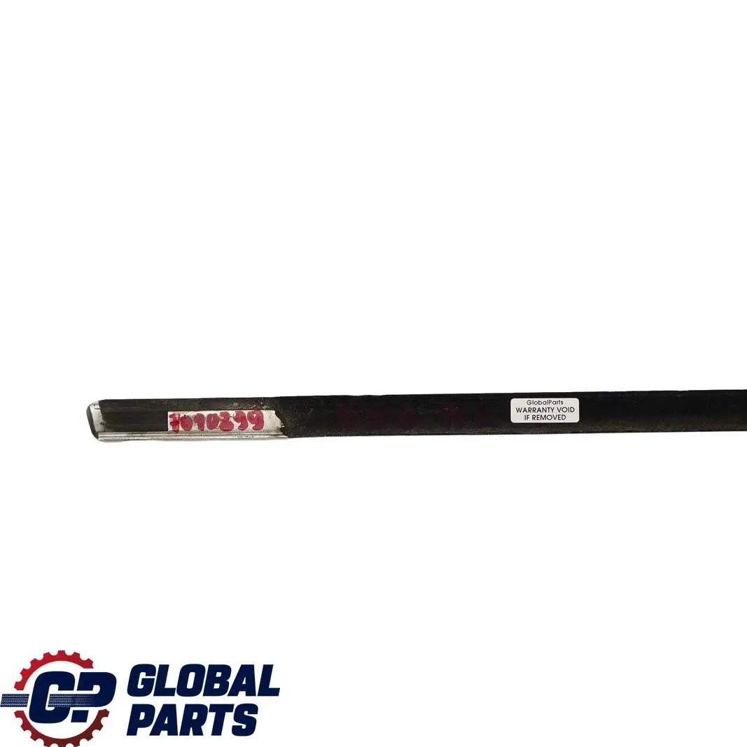 BMW E66 E67 Rear Door Outer Weatherstrip Chrome Left N/S - SKU 7010899 - Part number 7010899