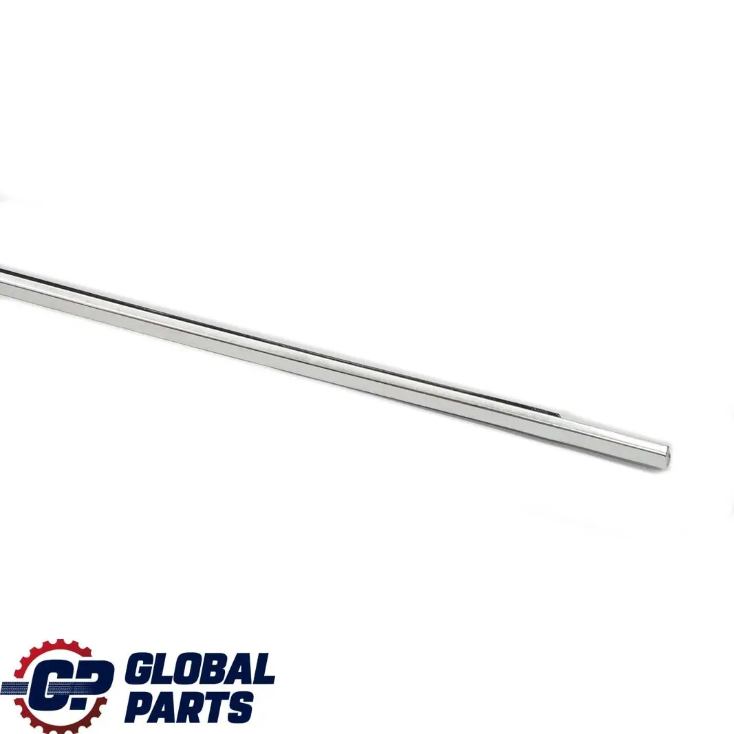 BMW 7 Series E66 E67 Rear Right Door O/S Outer Weatherstrip Chrome - SKU 7010900 - Part number 7010900